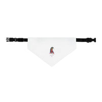 4th of July Lucy Pet Bandana Collar