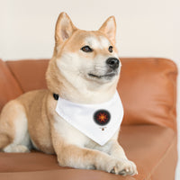 The Creative Art Series: Orange Star Pet Bandana Collar
