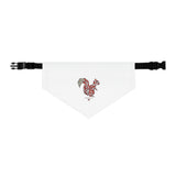 Squirrel Pet Bandana Collar