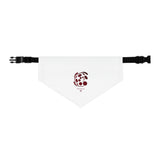 The Creative Art Series: Spiral Red Pet Bandana Collar
