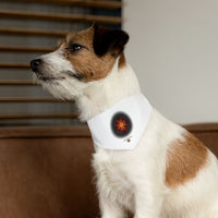 The Creative Art Series: Orange Star Pet Bandana Collar