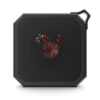 Squirrel Blackwater Outdoor Bluetooth Speaker