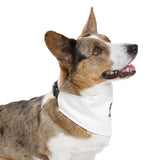 The Creative Art Series: Spiral Red Pet Bandana Collar