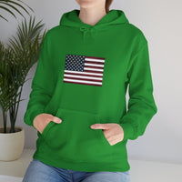 American Flag Unisex Heavy Blend™ Hooded Sweatshirt