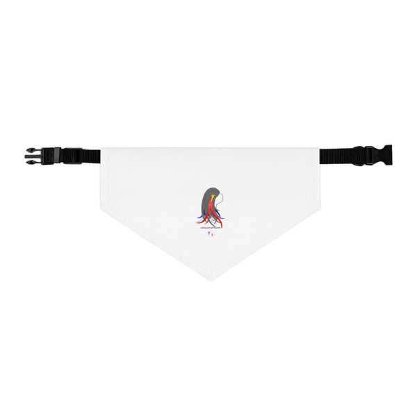 4th of July Lucy Pet Bandana Collar