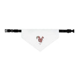 Squirrel Pet Bandana Collar