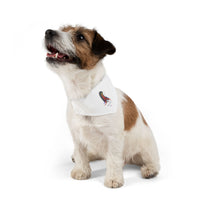 4th of July Lucy Pet Bandana Collar