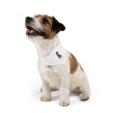4th of July Lucy Pet Bandana Collar