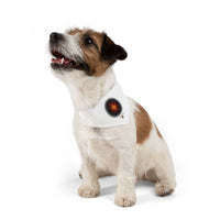 The Creative Art Series: Orange Star Pet Bandana Collar
