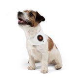 The Creative Art Series: Orange Star Pet Bandana Collar