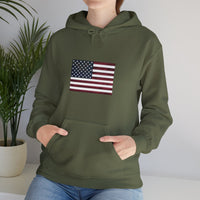 American Flag Unisex Heavy Blend™ Hooded Sweatshirt