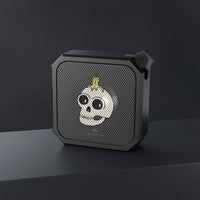 Frank the Headlight Blackwater Outdoor Bluetooth Speaker